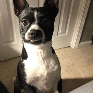 Meet your Posher, Cory